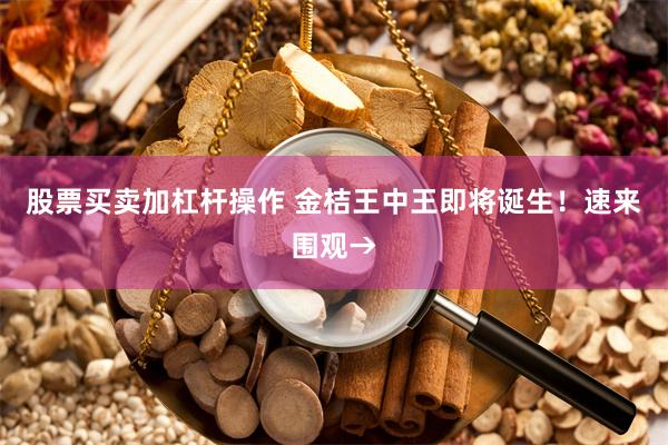 股票买卖加杠杆操作 金桔王中王即将诞生！速来围观→