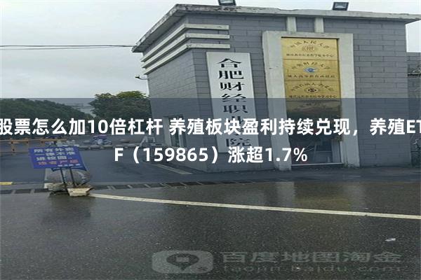 股票怎么加10倍杠杆 养殖板块盈利持续兑现，养殖ETF（15