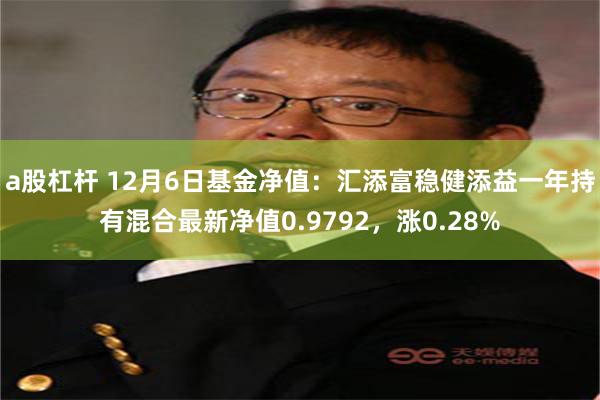 a股杠杆 12月6日基金净值：汇添富稳健添益一年持有混合最新