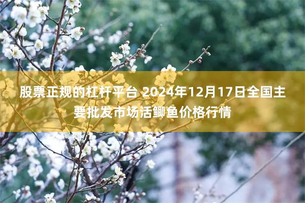 股票正规的杠杆平台 2024年12月17日全国主要批发市场活