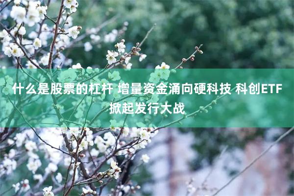 什么是股票的杠杆 增量资金涌向硬科技 科创ETF掀起发行大战