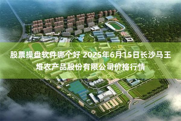 股票操盘软件哪个好 2025年6月15日长沙马王堆农产品股份